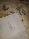 New - Set of 6 Linen Table Napkins