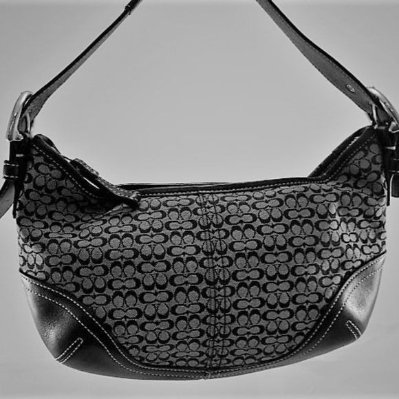 Coach Small Signature Hobo Bag